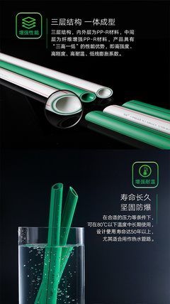 以自然為筆，鐫刻時代之美 偉星產品廣告設計海報的魅力解析